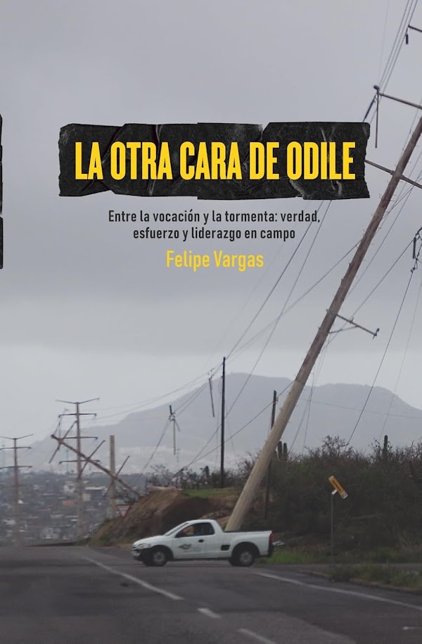 Portada de La Otra Cara de Odile